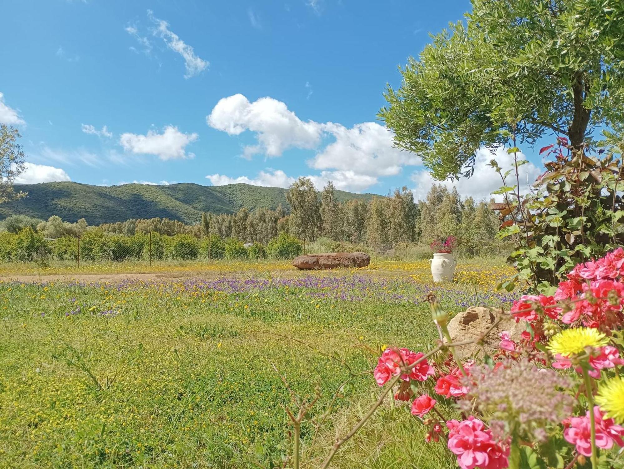 B&B Sensorial Experience Villamassargia Экстерьер фото